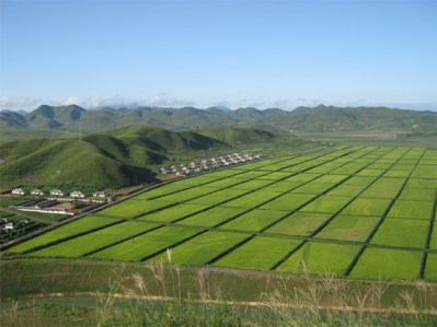 150428 - SK - Die völlige Abschaffung der Naturalsteuer in der Landwirtschaft - 02