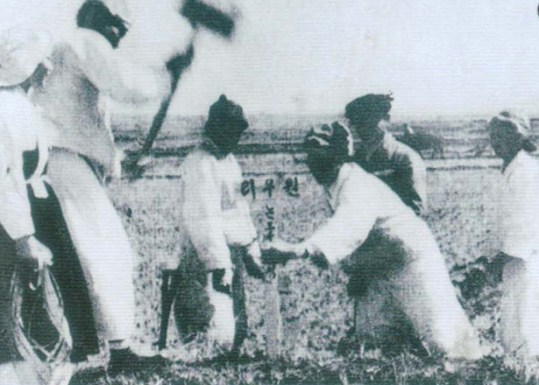 150715 - SK - Die ersten demokratischen Wahlen in Korea - 02 - Am 3. November Juche 35 (1946)