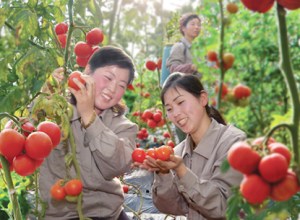 150728 - SK - Koreanische Frauen im glücklichen Leben - 10