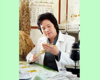 150729 - SK - Das Gesetz über die Gleichberechtigung von Mann und Frau - 02