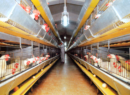 151001 - SK - Die siegreiche Partei der Arbeit Koreas - 11