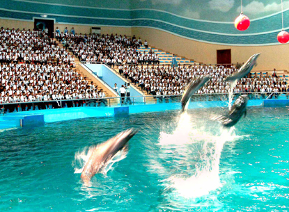 151001 - SK - Die siegreiche Partei der Arbeit Koreas - 25