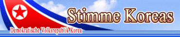 Stimme Koreas Logo