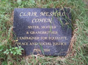 claire-meshal-20160828-110136