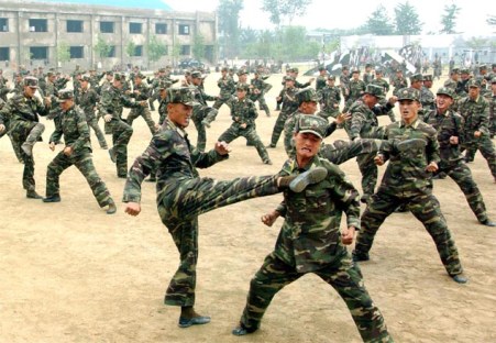 161224-sk-kim-jong-il-der-songun-heerfuehrer-und-die-wuerde-der-nation-03